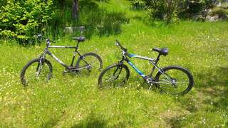 Дома для отпуска LOVCEN4ME Цетине Дом с 2 спальнями-11