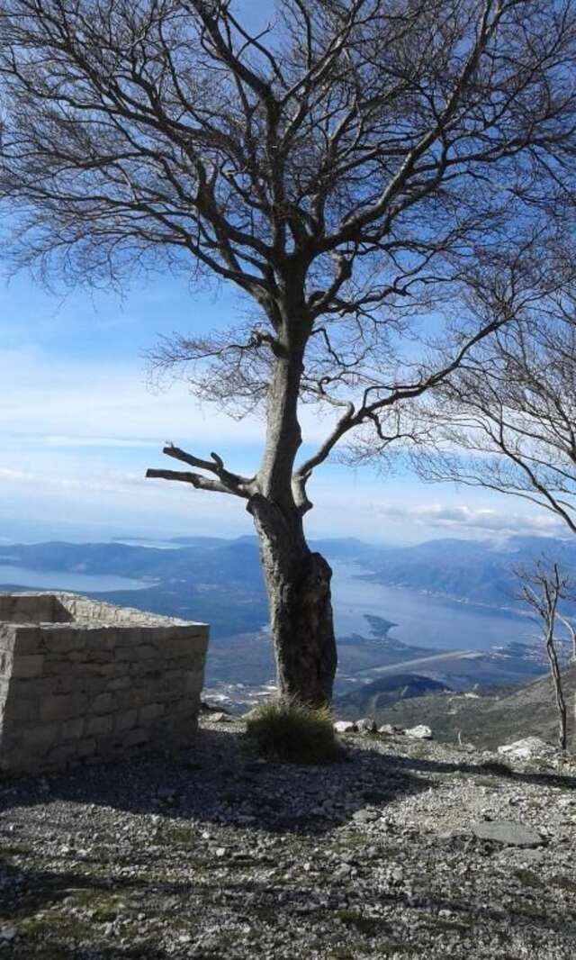 Дома для отпуска LOVCEN4ME Цетине-79